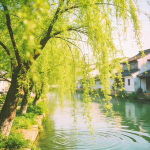 春风又绿江南岸