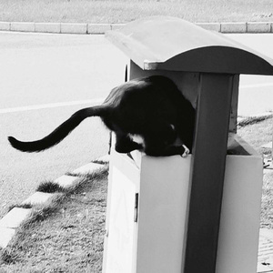 【Beat】“Kingvon” trap type beat