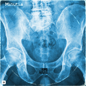 MINUTIA