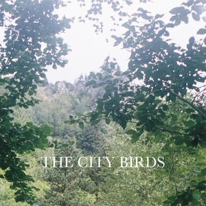Birds in the neighborhood II