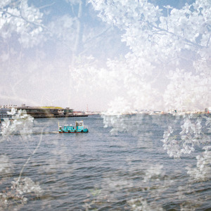 Views from Yamashita Park