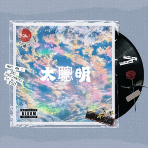太聪明