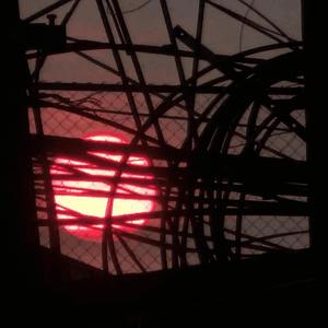 broken mind (feat. Valious)