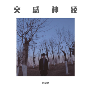 《交感神经》 伴奏