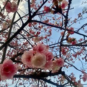 在这儿！prod by Rainbow-T