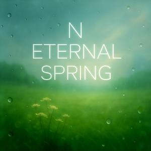 N Eternal Spring (Radio Edit)