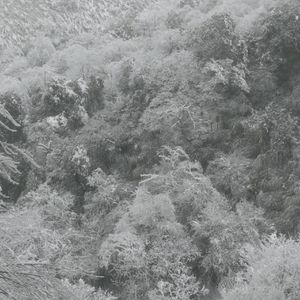 先说爱者先不爱 后动心者不死心