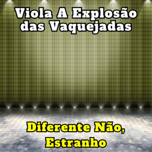 Meu Cavalo É Show (Cover)