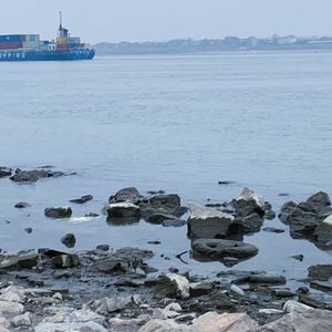 如果你听见我的歌