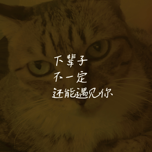 下辈子不一定还能见到你