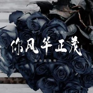 你风华正茂 (我穷困潦倒)