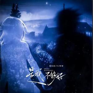 是我不够好 (DJ版)