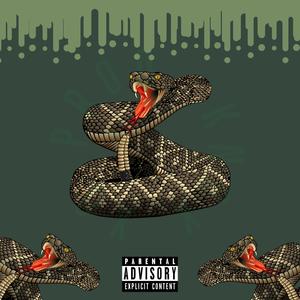 Rattlesnake