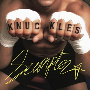 KNUCKLES (EVOL REMIX)