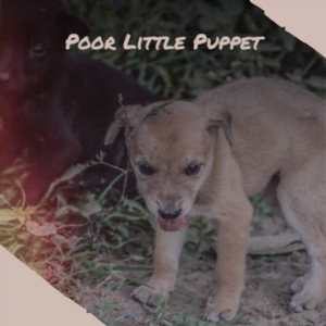 Johnny On His Strings