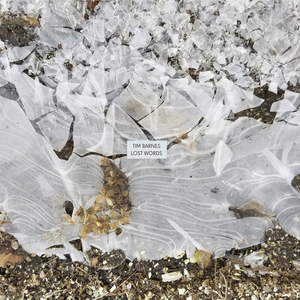 Never Touching The Ground