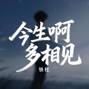 今生啊 多相见