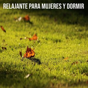 Dejaría todo