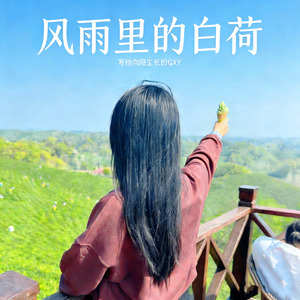 风雨里的白荷