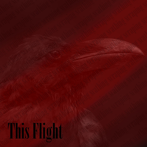 This Flight