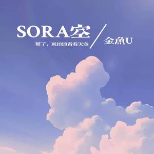 SORA空