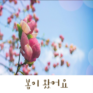 봄이 왔어요