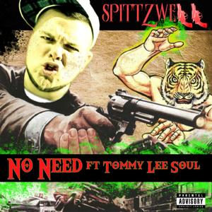 No Need (feat. Tommy Lee Soul)