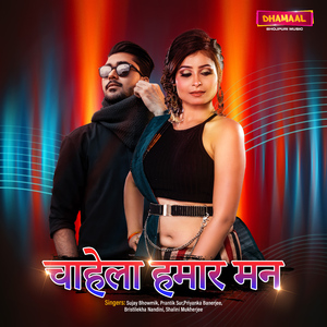 Hum Dono Badhiyan Jodi