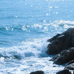 阳光洒满金色田