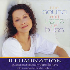 Bringing In The Light