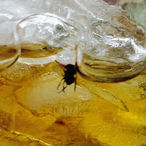 Stranger Than Maggie Gyllenhaal