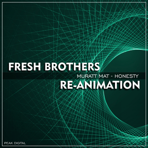 Honesty (Fresh Brothers ReWork)