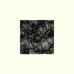 Borrow from the Well