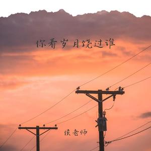 你看岁月饶过谁