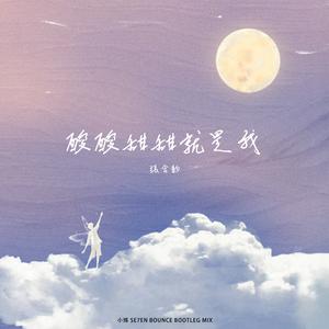 张含韵 - 酸酸甜甜就是我（小博 SE7EN Bootleg）