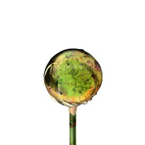 爱是伤害（Prod by. bubbleboy）