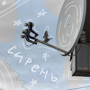 Сирень