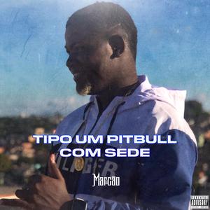 Tipo um pitbull com sede