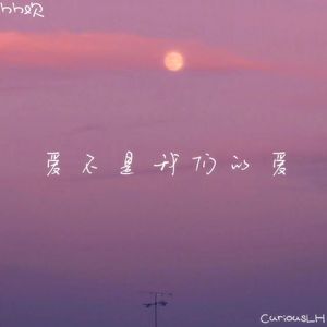 爱不是我们的爱