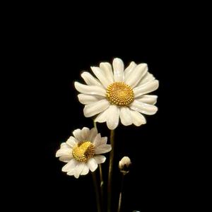 4:46am (feat. Alex Ranieri)