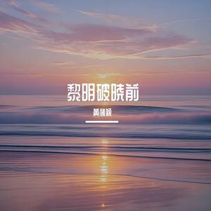 你是星辰我是夜 伴奏