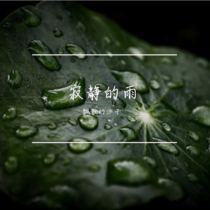 寂静的雨