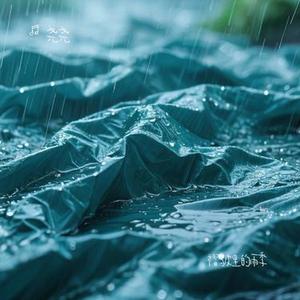 褶皱里的雨季