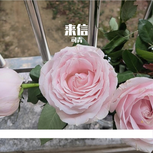 音频提取_084113_track1