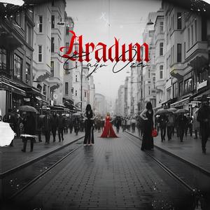 ARADIM