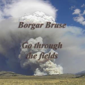 Go through the fields