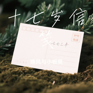 十七岁信笺