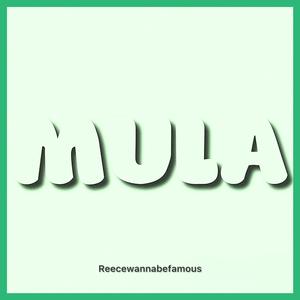 MULA