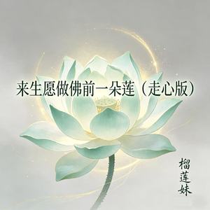 来生愿做佛前一朵莲（走心版）