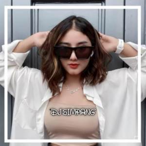 DJ TAKAN PERNAH TERABAIKAN